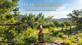 close up view of a texas cedar tree in the hill country, glistening in the sun