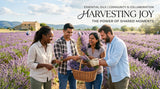 A diverse group of people working together in a lavender field, smiling and harvesting. Focus on collaboration and community.