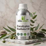 Eucalyptus Radiata Oil - Premium Essential Oil by Shiva Exports India