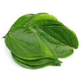 Betel Leaf Oil