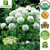 Angelica Root Oil