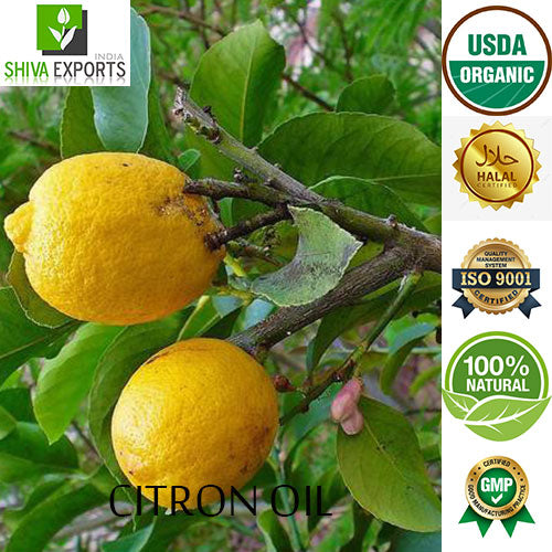 Citron (Citrus Medica) Oil