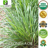 Citronella Oil Java