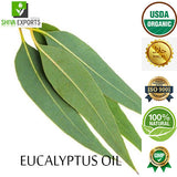 Eucalyptus Oil
