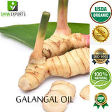 Galangal Oil