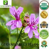 Geranium Egyptian Co2 Extract