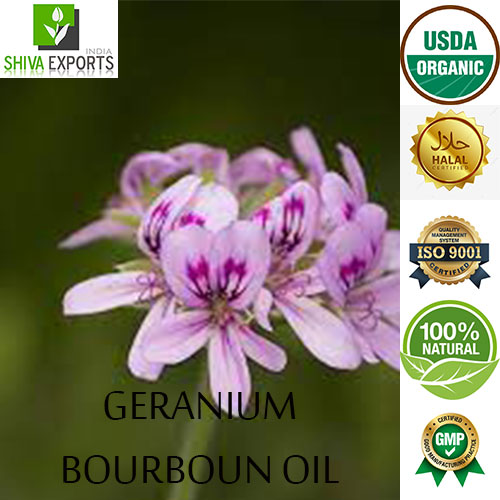 Geranium Oil Bourboun