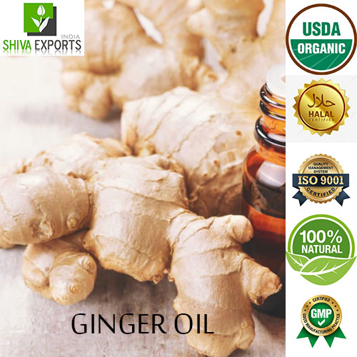 Ginger Co2 Extract Oil
