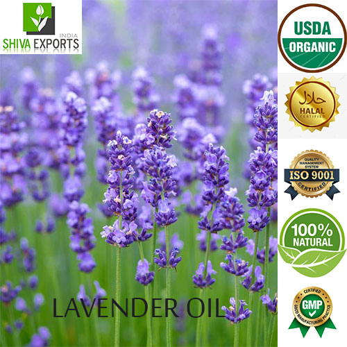 Lavender Oil for Soap