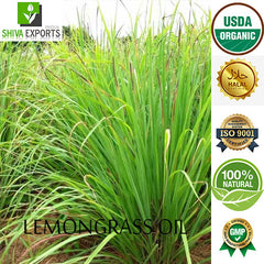 Lemongrass Oil Manufacturer & Wholesale Supplier to Buy in Pure and Natural Form – Shiva Exports India