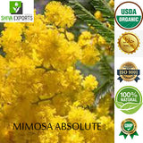 Mimosa Absolute