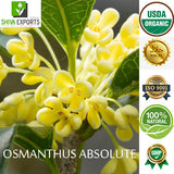 Osmanthus Absolute