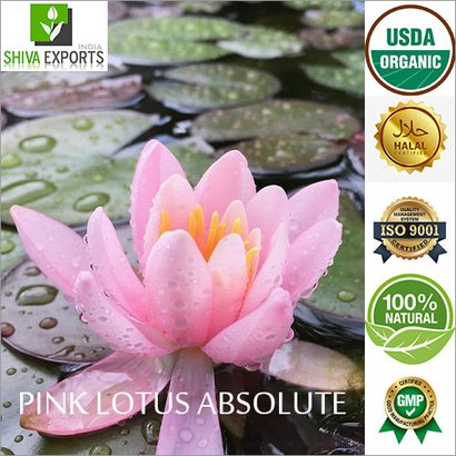 Pink Lotus Absolute - 100% Pure and Natural