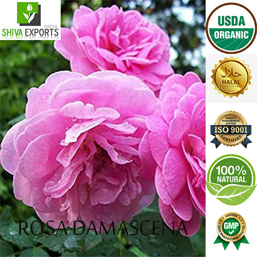 Rose Oil (Rosa Damascena)-HD