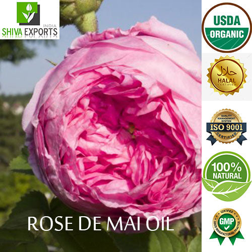 Rose De Mai Absolute Oil