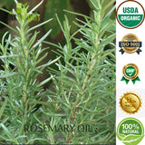 Rosemary Oil