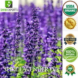 Spike Lavender Oil