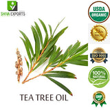 TEA TREE OIL 45% TERPINE 4 OL