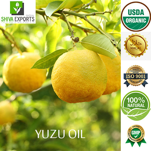 Yuzu Oil