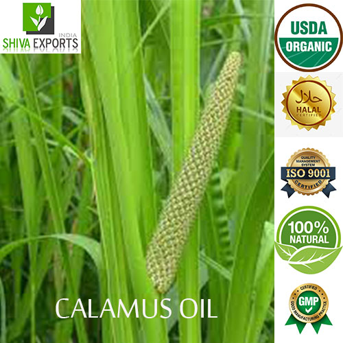 Calamus Oil (high Asaron)