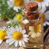 Chamomile German Oil Nepal