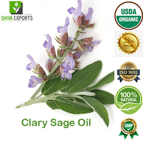 Clary sage Oil