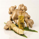 Ginger Oil Regular