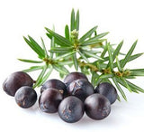 Juniper Berry Co2 Extract Oil