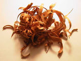 Sandalwood Fragrance Oil